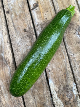 courgette