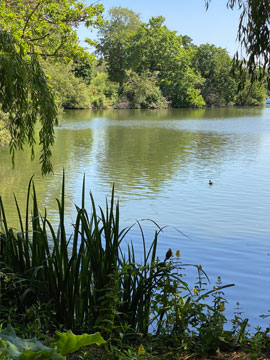 Crystal Palace lakes