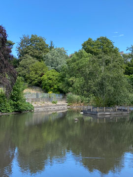 bromley lake