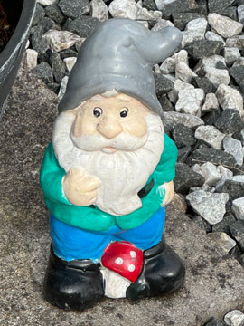 gnome
