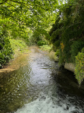 River Cray