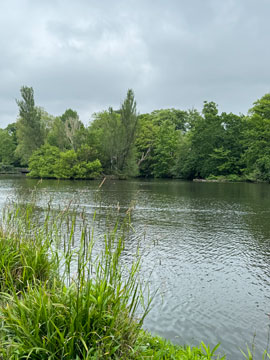 Kelsey Park