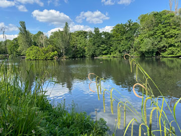 kelsey park