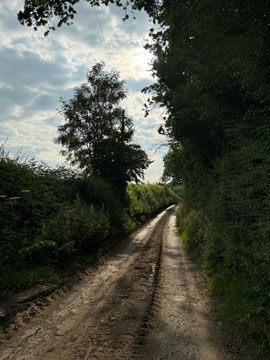 country lane