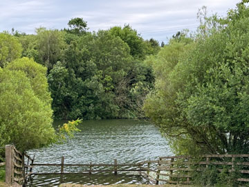 pond