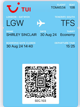 boarding pass