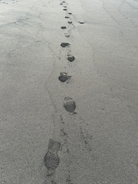 footprints