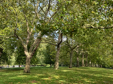 St. James's Park