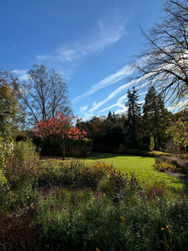 Harlow Carr