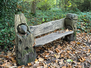 bench