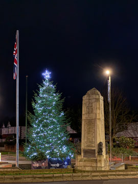 tree and memorial