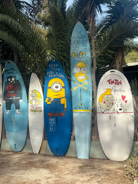 surf boards