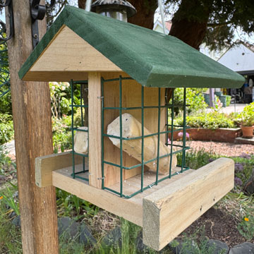 bird feeder