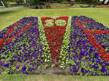 VE80 flower bed