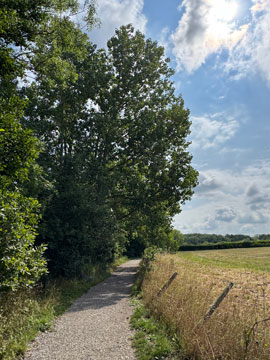 country path