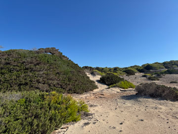 dunes