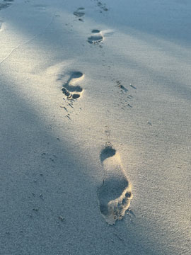 footsteps