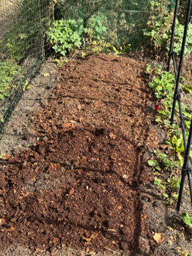 veg beds