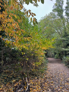 Parkland Path
