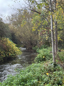 River Wandle