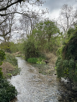 River Cray
