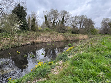 River Cray