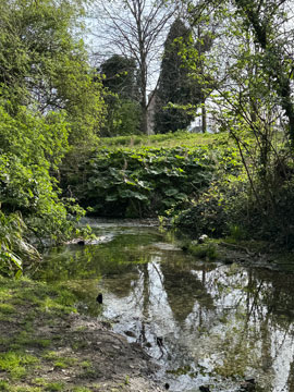 river cray