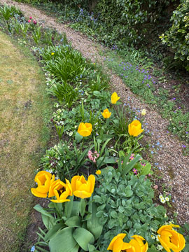 garden