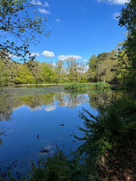 pond