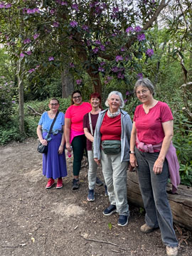 walkers