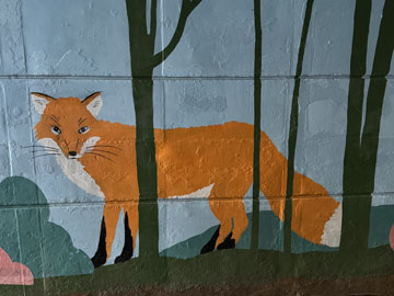 fox
