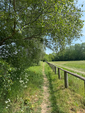 pathway