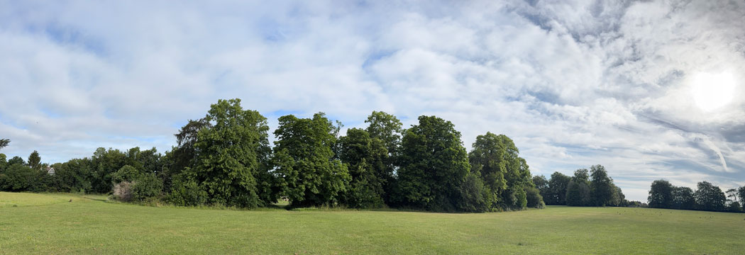 goddington park