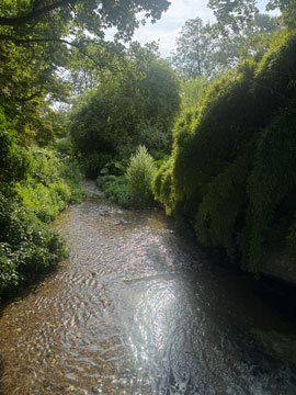 river cray