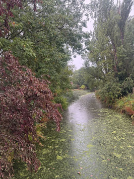river