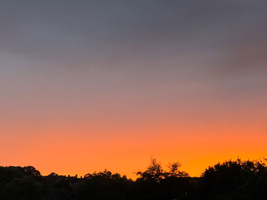 sunset