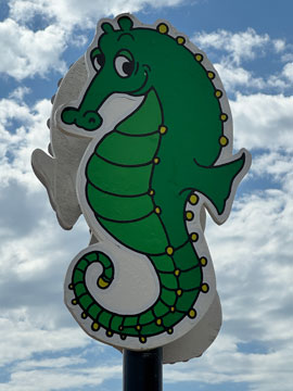 seahorse