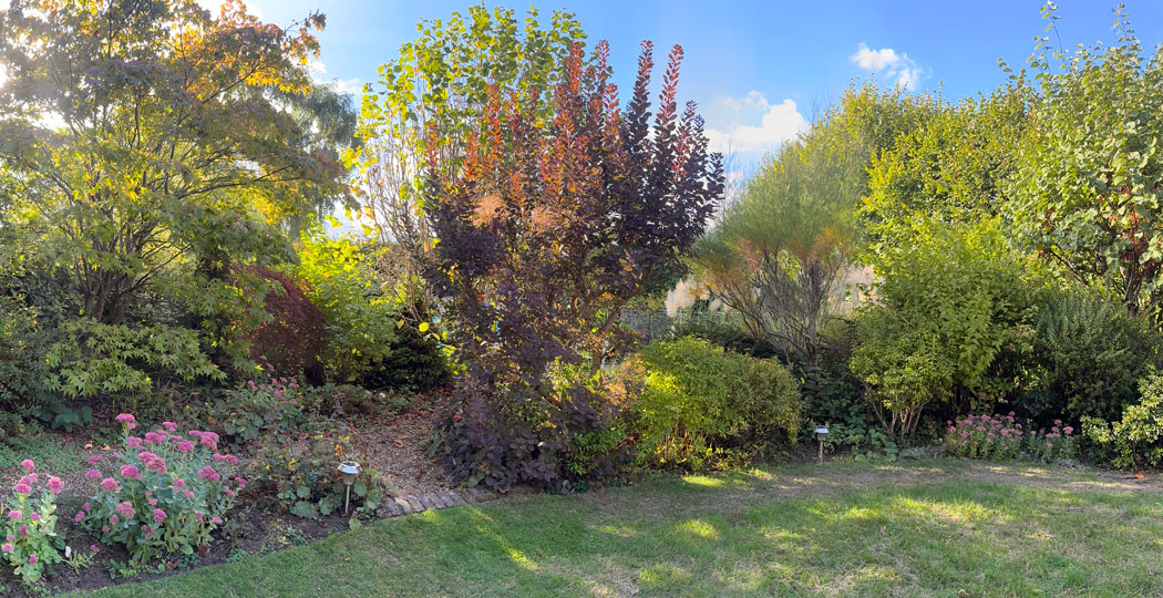 garden