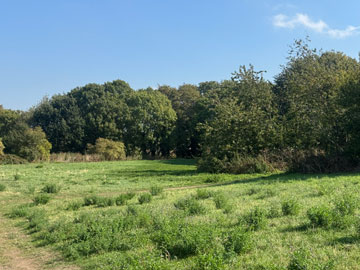 country park