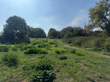 country park