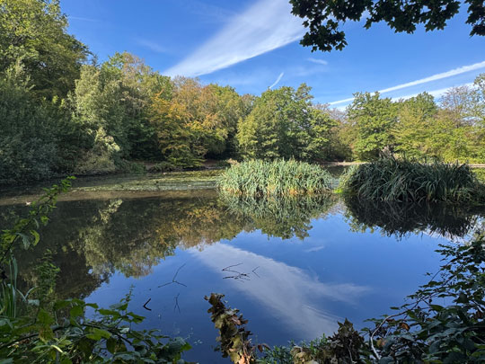 keston pond