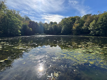 keston ponds
