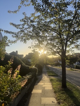 sunrise street