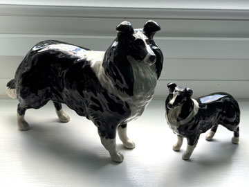 dogs