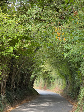 country lane