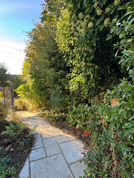 garden