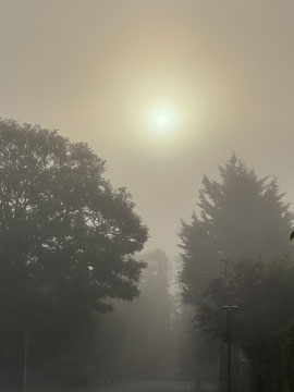 misty morning