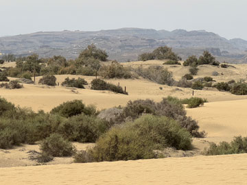 dunes
