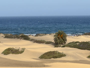 dunes